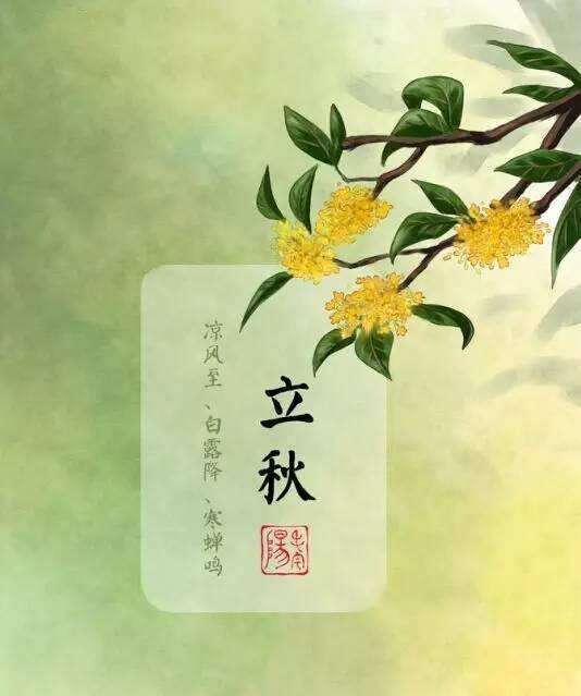 第974页
