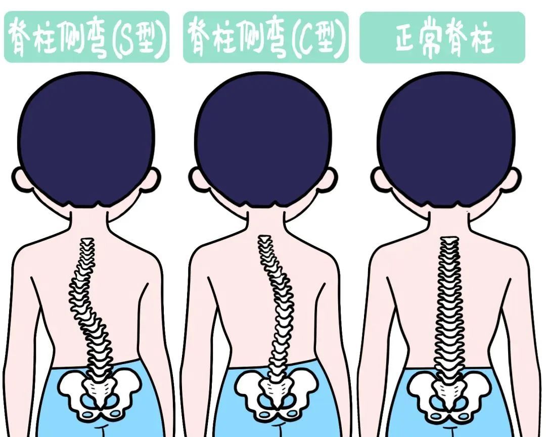 第934页