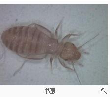 游戏专题 第159页