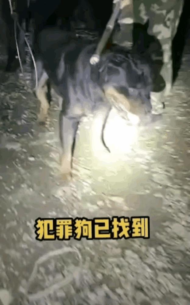 娱乐生活 第193页