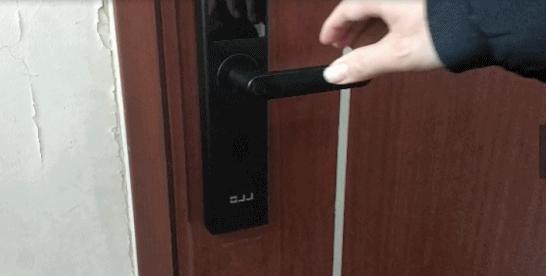 港澳新闻 第173页