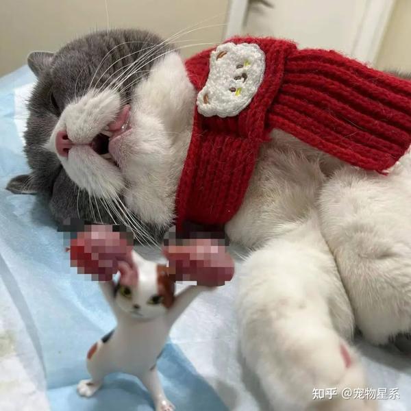 娱乐生活 第129页